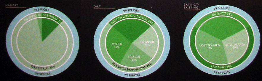 species graphs