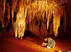 Marsupial Lion cave