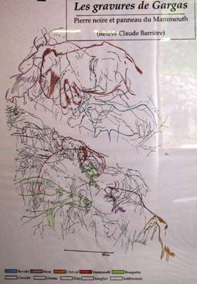 Grotte de Gargas drawings