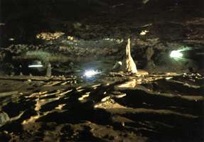 Grotte de Gargas art