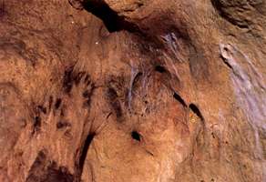 Grotte de Gargas hands