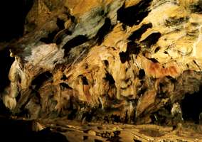 Grotte de Gargas