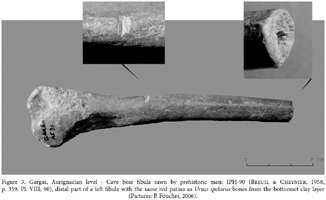 Gargas sawn bear fibula