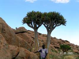 Namibia landscape