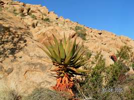 Namibia landscape