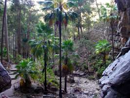 carnarvon amphitheatre