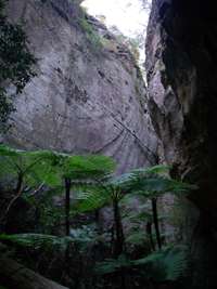 carnarvon Ward's Canyon