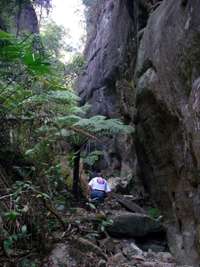 Nabooloo Creek