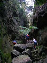 Nabooloo Creek