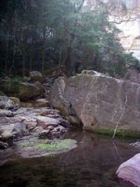 Kamoodangie Creek Canyon