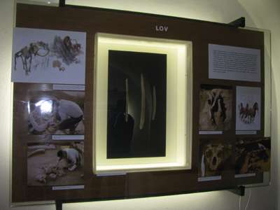 Hunting display