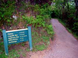 Abel Tasman Track