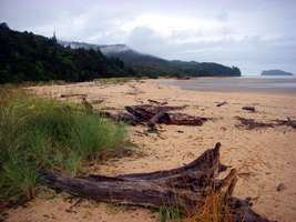 Abel Tasman Track