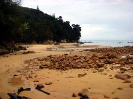 Abel Tasman Track