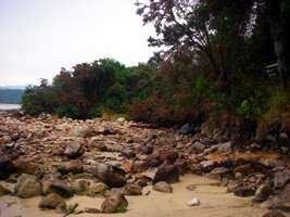 Abel Tasman Track