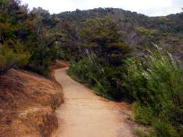 Abel Tasman Track