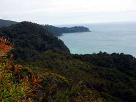 Abel Tasman Track