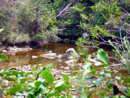 Abel Tasman Track