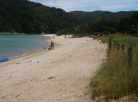 Abel Tasman Track