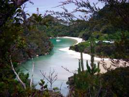 Abel Tasman Track