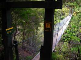 Abel Tasman Track