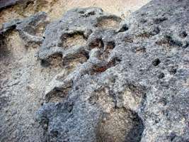 Abel Tasman Track