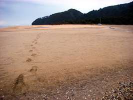 Abel Tasman Track