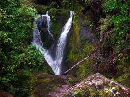 Abel Tasman Track