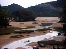 Abel Tasman Track