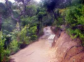 Abel Tasman Track