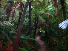 Abel Tasman Track