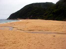 Abel Tasman Track