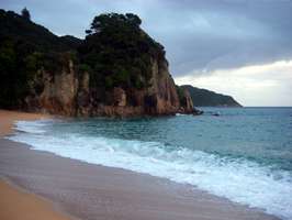 Abel Tasman Track