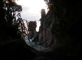 Abel Tasman Track