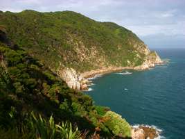 Abel Tasman Track