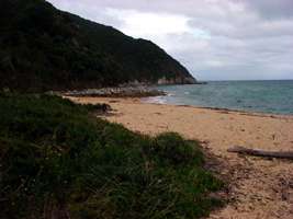 Abel Tasman Track