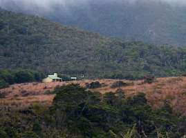 Gouland Downs hut 