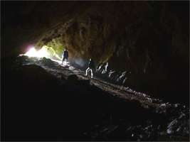 Pestera Coliboaia - Coliboaia Cave Rock Art