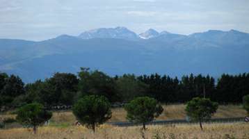 Pyrenees