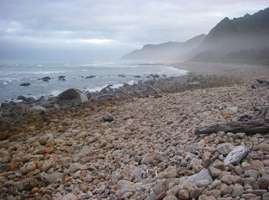 Heaphy Beach