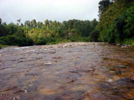 Wangapeka Track