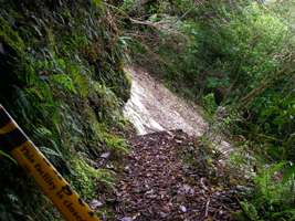 Wangapeka Track