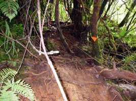 Wangapeka Track