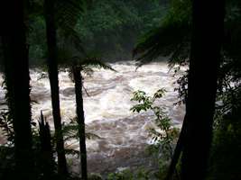 Wangapeka Track