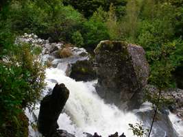 Wangapeka Track