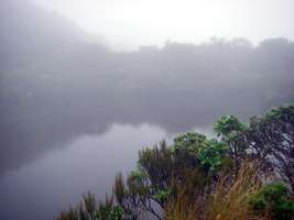 Wangapeka Track