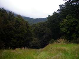 Wangapeka Track