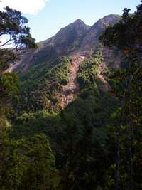 Wangapeka Track