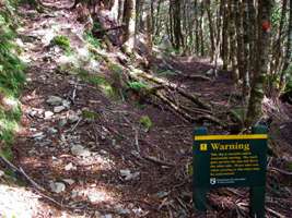 Wangapeka Track