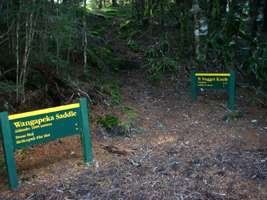 Wangapeka Track